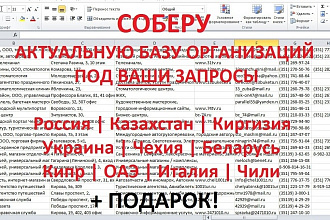Соберу актуальную базу организаций под ваши критерии. + подарок