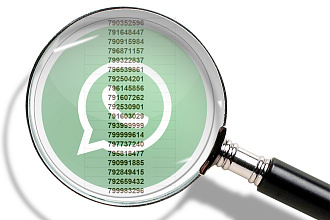 Проверка номеров на наличие Whatsapp