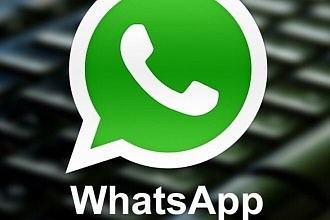 Проверка базы данных на наличие номеров в WhatsApp