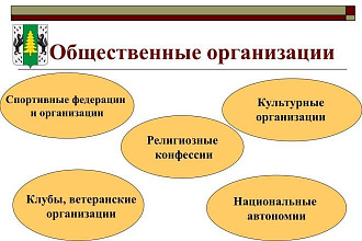 Общественные организации РФ