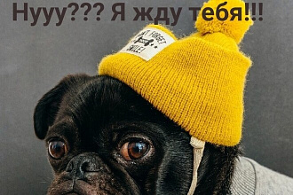 Размещение рекламы и объявлений на разных сайтах