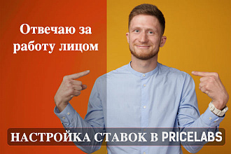Настрою PriceLabs для управления ставками на Яндекс. Маркете под ключ
