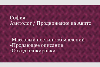 Авитолог, продвижение на Авито