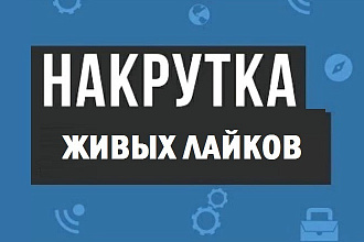 Лайки на фотографию