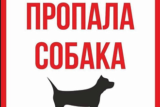 Обьявление о потери