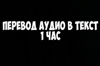 Транскрибация аудио, видео 60 минут за 1 день