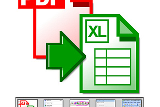 Выполню перенос данных из PDF в Excel и Word