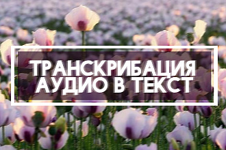 Транскрибация из аудио в текст, 70 минут