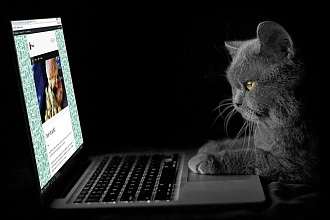 Наберу текст с PDF, аудио, рукописи. Имеется диплом филолога