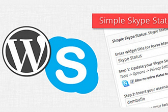 Аудит и консультация в Skype по продвижению вашего сайта на Wordpress