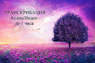 Сделаю транскрибацию видео и аудио в текстовый формат