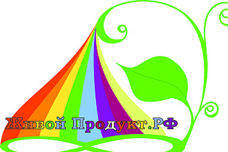 Создание логотипа и фирменного стиля