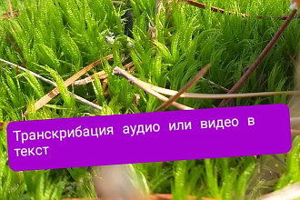 Транскрибация аудио или видел в текст
