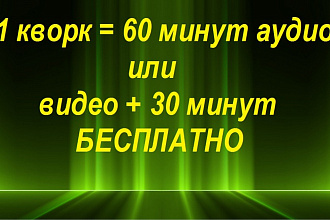 услуга 60 минут аудио или видео в текст. БОНУС 30 минут при заказе!