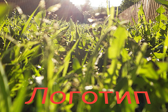 Создам логотип
