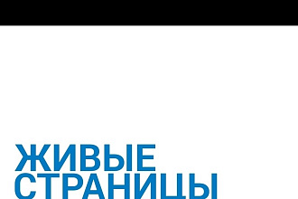 Перепишу текст из аудио записи
