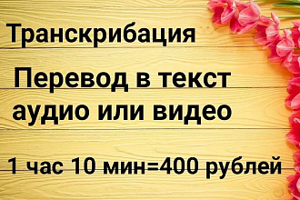Транскрибация. Перевод аудио в текст продолжительностью 1 час 10 минут