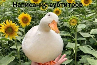Напишу субтитры на английском и русском языках на платформе Youtube