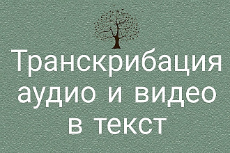 Транскрибация. Переведу в Текст Ваш материал