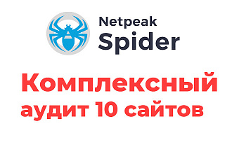 Комплексный аудит 10 сайтов с помощью Netpeak Spider