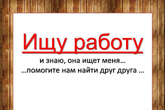 Тексты и переводы