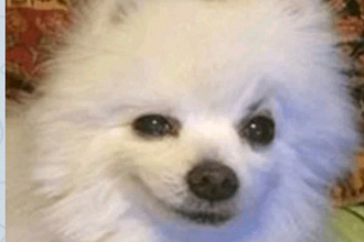 Напишу 9 статей