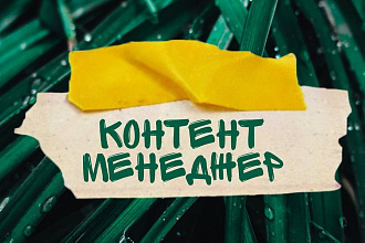 Наполнение сайта