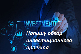 Напишу красивый и качественный SEO обзор Инвестиционного проекта
