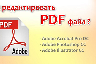 Внесу правки в pdf, выполню конвертацию на любые форматы