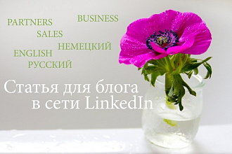 Статья для вашего business-блога в сети LinkedIn