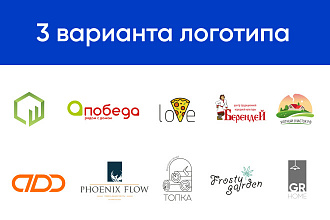Вариант качественного логотипа для вашего бизнеса недорого