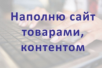 Наполню сайт товарами, контентом