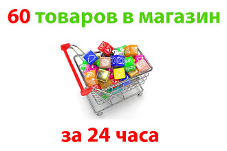 Качественно наполню магазин товарами. 60 товаров, любая CMS