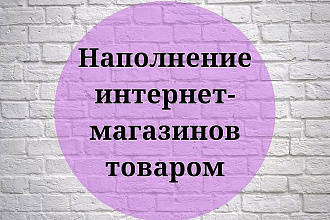 Наполнение интернет-магазинов