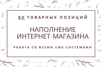Ручное наполнение интернет-магазина товарами - 80 позиций