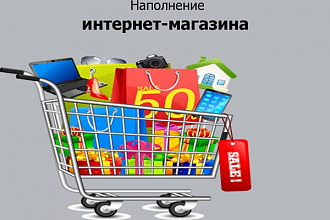 Наполнение контентом