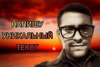 Быстро напишу качественный текст, статью