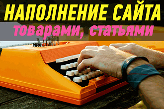 Наполнение сайта, добавление в интернет-магазин товаров