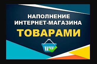 Ручное наполнение интернет-магазина товарами