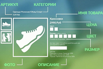 Наполнение контентом на сайт