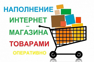 Ручное наполнение интернет-магазина товарами