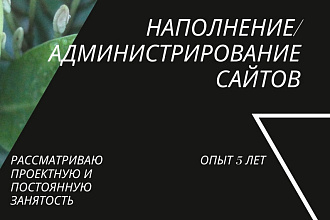 Наполню сайт