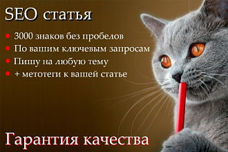 Супер предложение. SEO статья