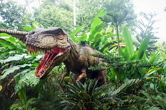 Статья о динозаврах