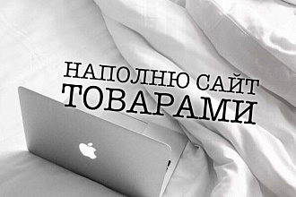 Наполнение интернет-магазина товаром, контентом