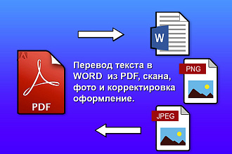 Перевод текста в WORD из PDF, скана, фото и обратно