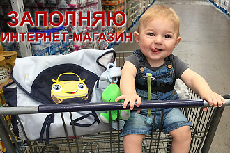 Заполняю карточки интернет-магазина товарами