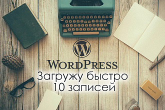 Массовое добавление 10 записей в Wordpress, создание статей из WORD