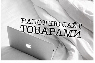 Наполнение сайта товарами