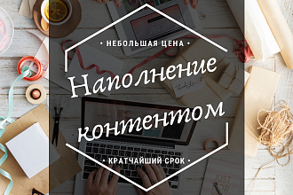 Наполню контентом сайт в самые кратчайшие сроки